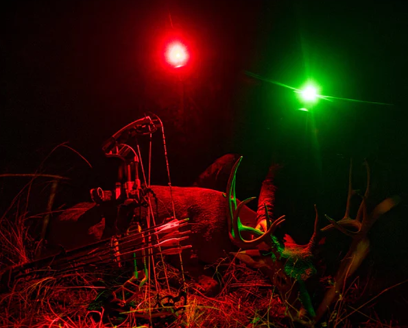 best quality hunting light